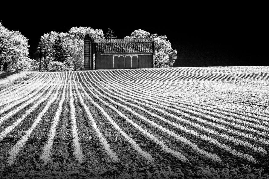 Rows in a Farm Field with Barn and Silo in Infrared Black and White Photograph by Randall Nyhof
