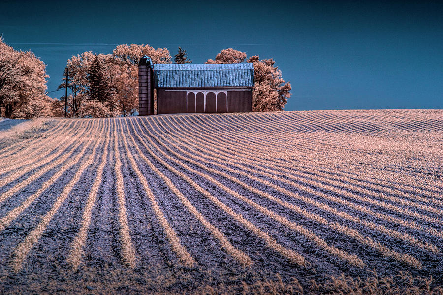 Rows in a Farm Field with Barn and Silo in Infrared Photograph by Randall Nyhof