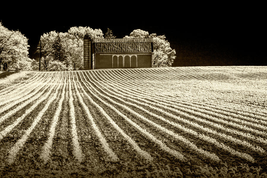 Rows in a Farm Field with Barn and Silo in Infrared Sepia Tone Photograph by Randall Nyhof