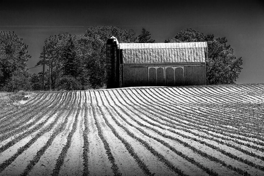 Rows in a Farm Field with Furrows in a Row in Black and White Photograph by Randall Nyhof