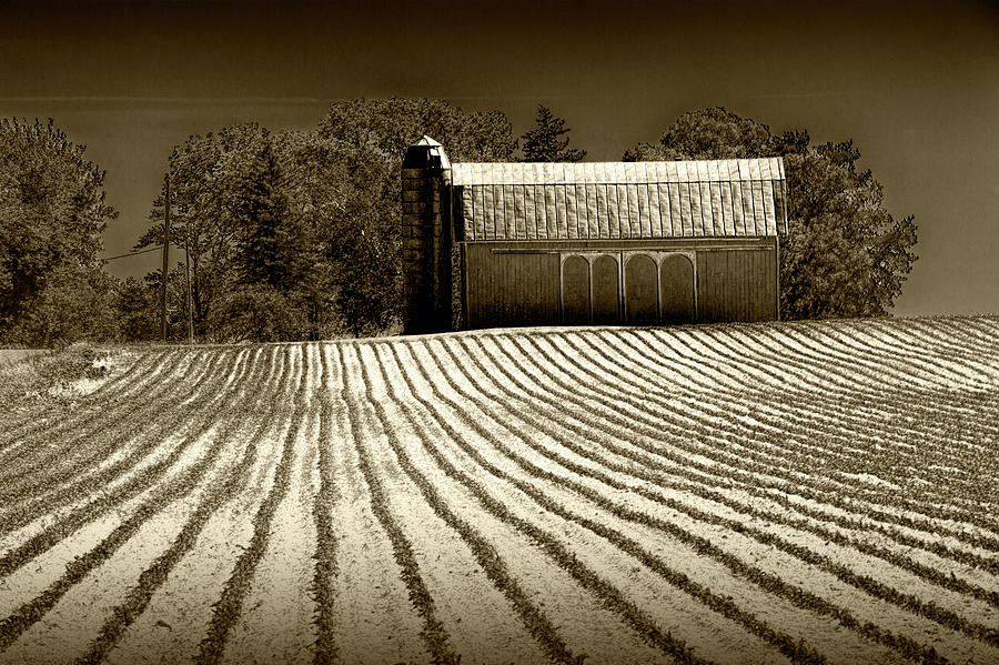Rows in a Farm Field with Furrows in a Row in Sepia Tone Photograph by Randall Nyhof