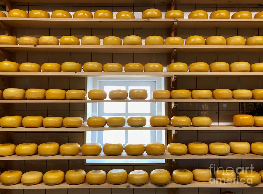 Rows of Cheese Photograph by Diana Rajala