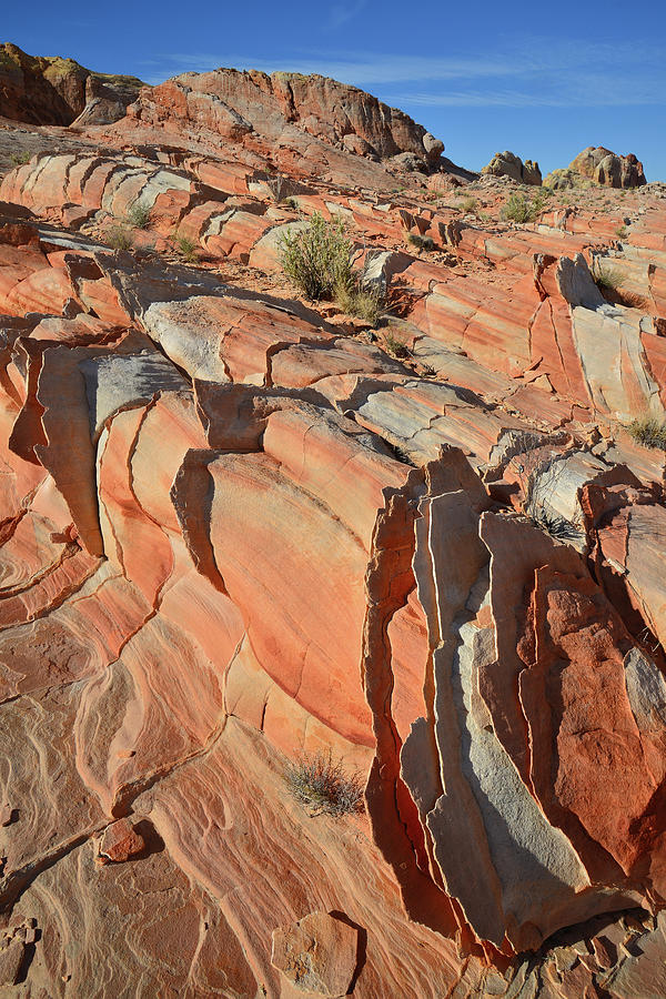 Rows of Colorful Sandstone in Valley of Fire Photograph by Ray Mathis