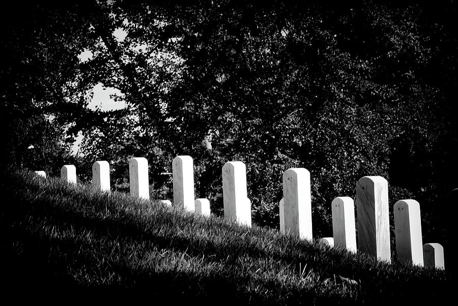Rows of Honor Photograph by Paul W Faust - Impressions of Light