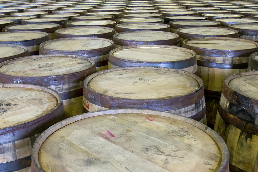 Rows of oak barrels in bourbon distillery Photograph by Karen Foley