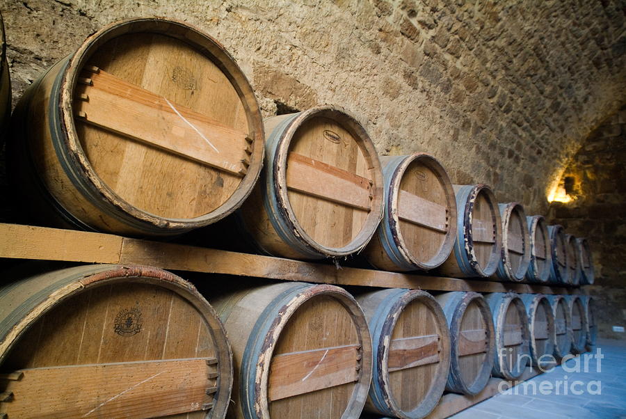 Castle Photograph - Rows of wooden barrels in the cellar of a castle by Sami Sarkis