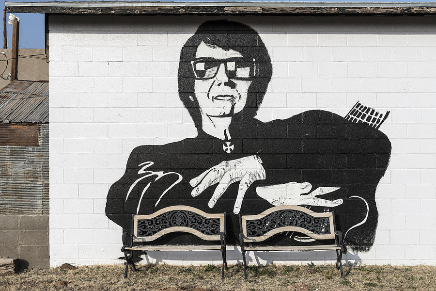 Roy Orbison mural in Wink Photograph by Carol M Highsmith