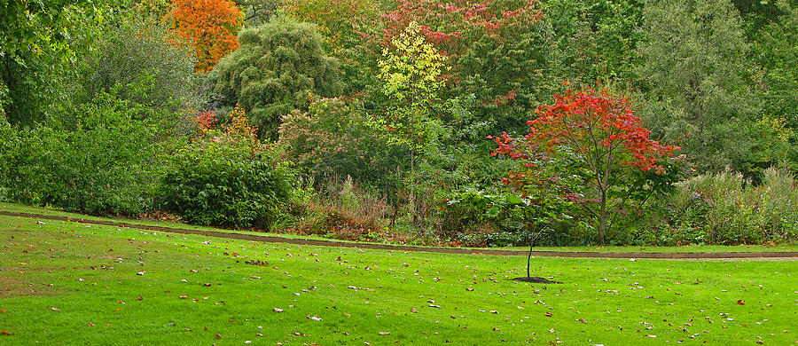 Royal Autumn Colors Photograph by Ann Horn