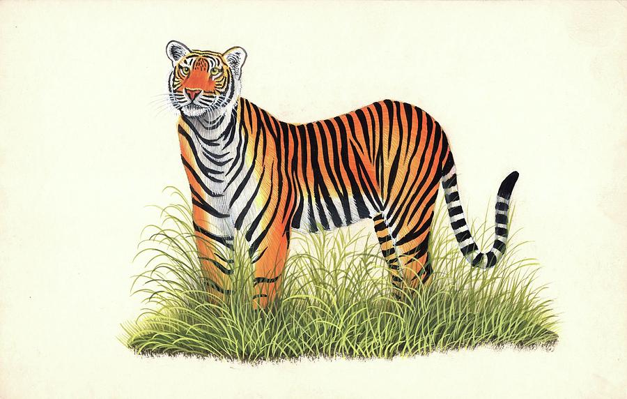 Royal Bengal Tiger Handmade Art Grand Indian Miniature Wild Cat Animal Painting Painting by ArtnIndia