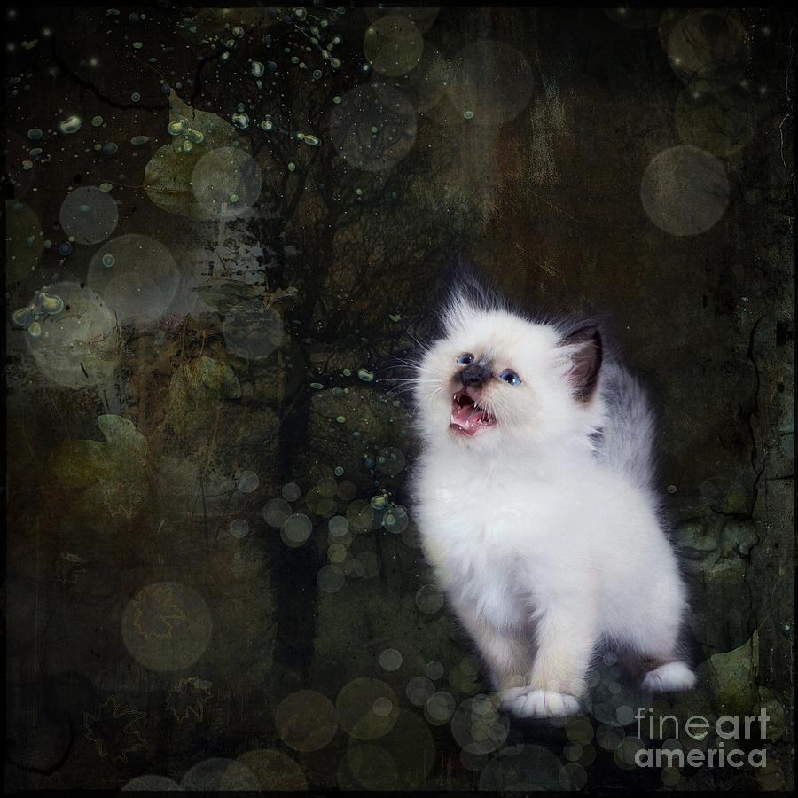 Cat Digital Art - Royal Cats by Monique Hierck