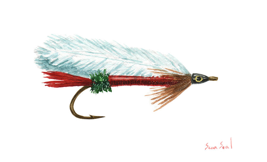 Fly Fishing Painting - Royal Coachman Mickey Fin by Sean Seal