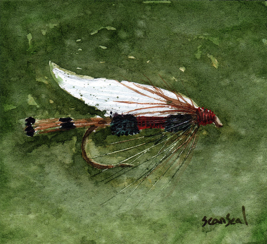 Royal Coachman Wet Fly Painting by Sean Seal