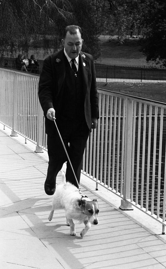 Royal Dog Walker Photograph by Nancy Clendaniel