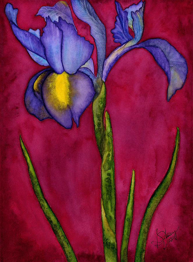 Iris Painting - Royal Dutch by Stephanie Jolley Iris Painting - Royal Dutch by Stephanie Jolley