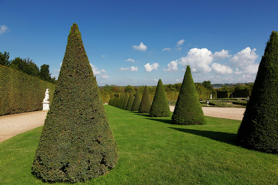 Royal Gardens Versailles Palace France Photograph By Bruce Beck Pixels