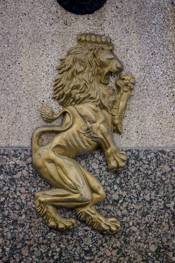 Royal Lion in Gold  Photograph by Colleen Cornelius