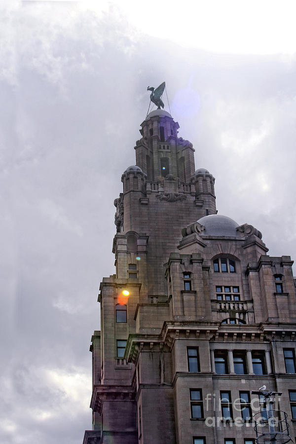 Royal Liver Building - Liverpool Photograph by Doc Braham