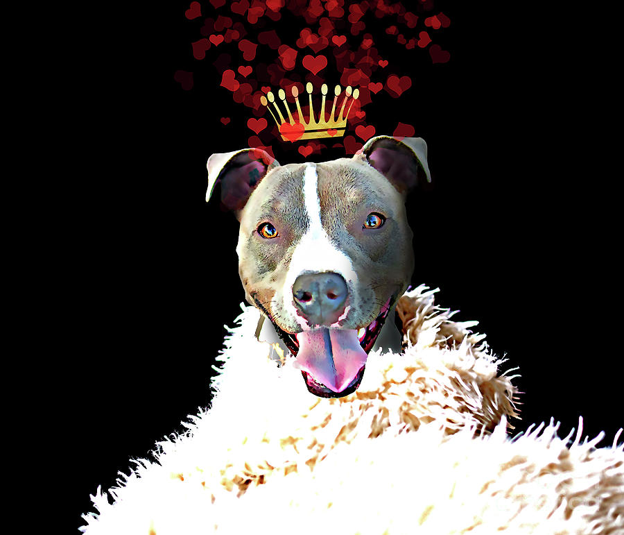 Animal Painting - Royal Love Pup, Pit Bull Terrier, crown of hearts by Tina Lavoie