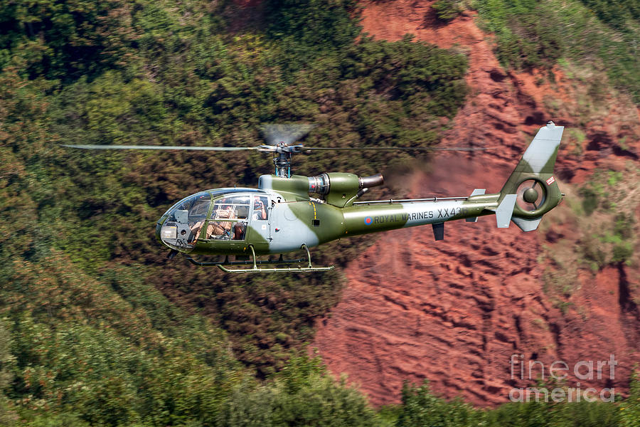 Helicopter Photograph - Royal Marines Gazelle by Steve H Clark Photography