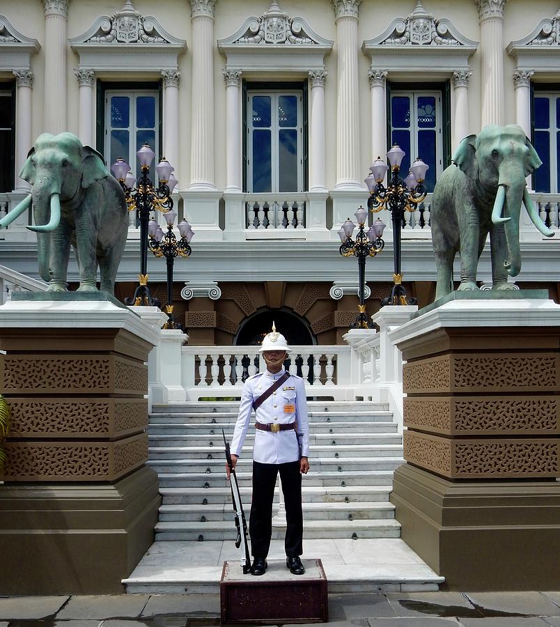 Royal Palace Guard Photograph by Richard Bryce and Family