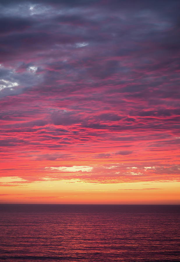 Royal Pink Sunset Photograph by JoAnn Silva