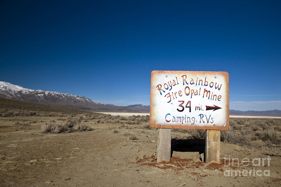 Royal Rainbow Fire Opal Mine Black Rock Desert Photograph by Jason O Watson