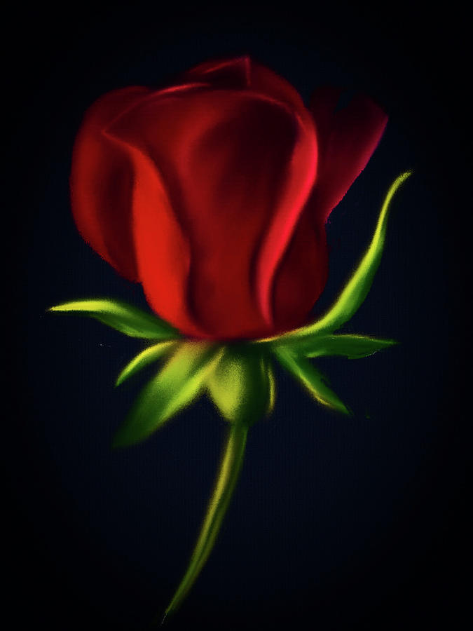 Royal Red Rose Digital Art by Michele Koutris