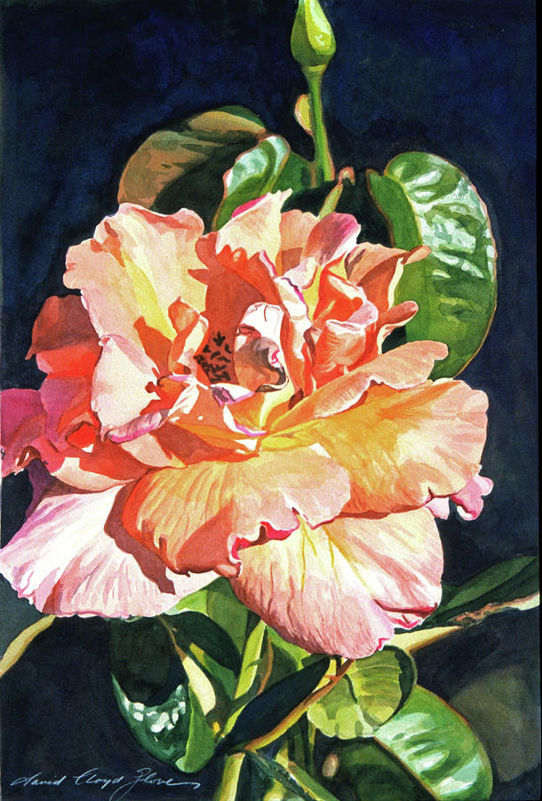 Rose Painting - Royal Rose by David Lloyd Glover