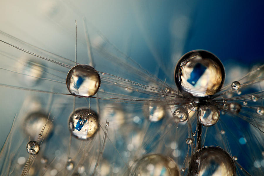 Abstract Photograph - Royal Sea Blue Drops by Sharon Johnstone