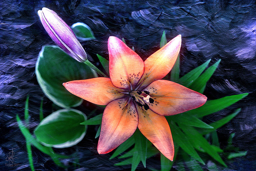 Royal Sunset Digital Art by Pennie McCracken Royal Sunset Digital Art by Pennie McCracken