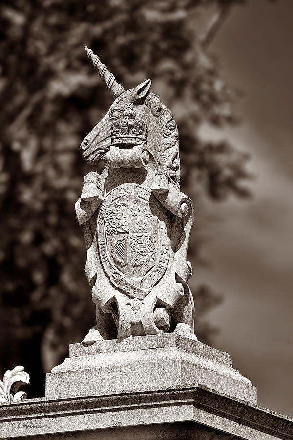 Royal Unicorn - Sepia Photograph by Christopher Holmes