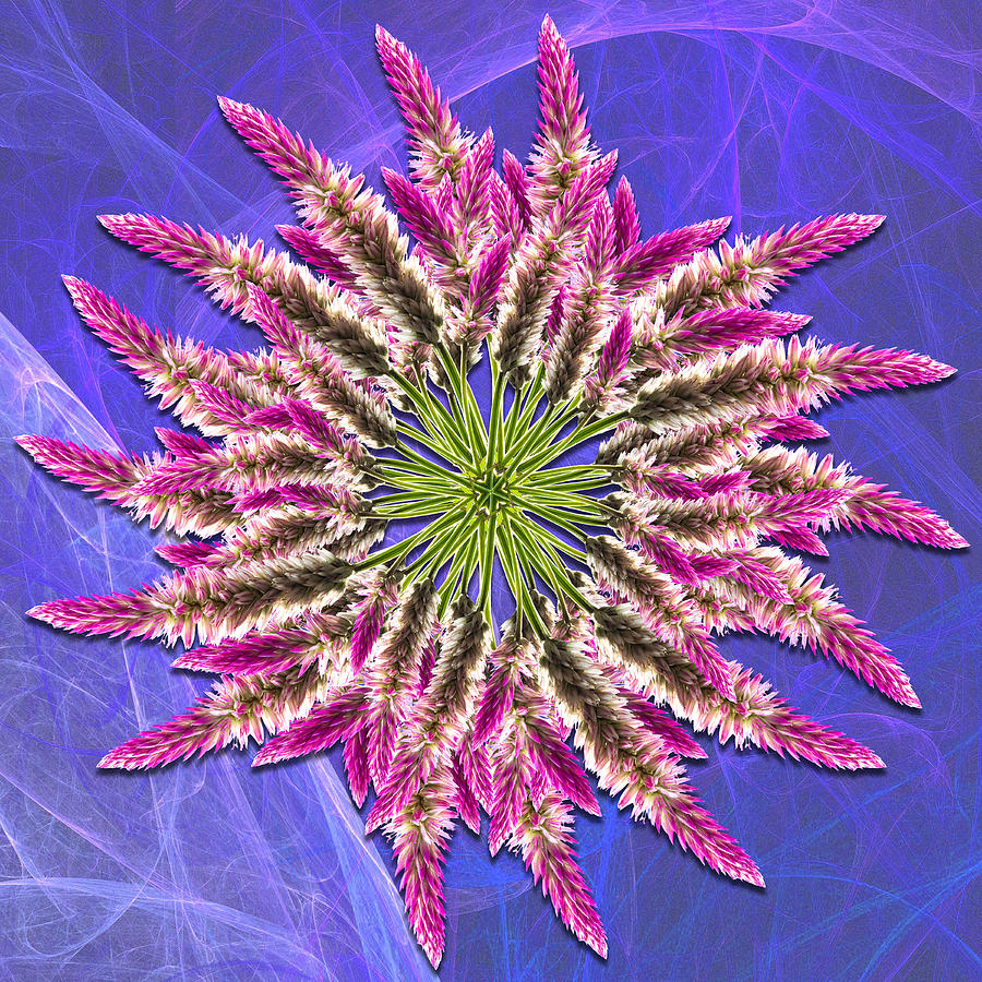 Royal Wreath of Flowers Digital Art by John Haldane