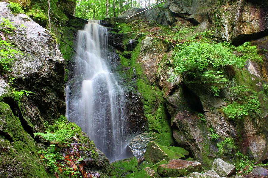 Royalston Falls Gorge Photograph by John Burk - Fine Art America