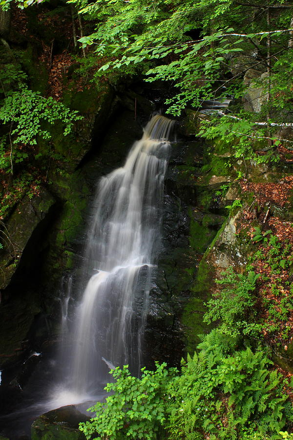 Royalston Falls Photograph by John Burk | Fine Art America