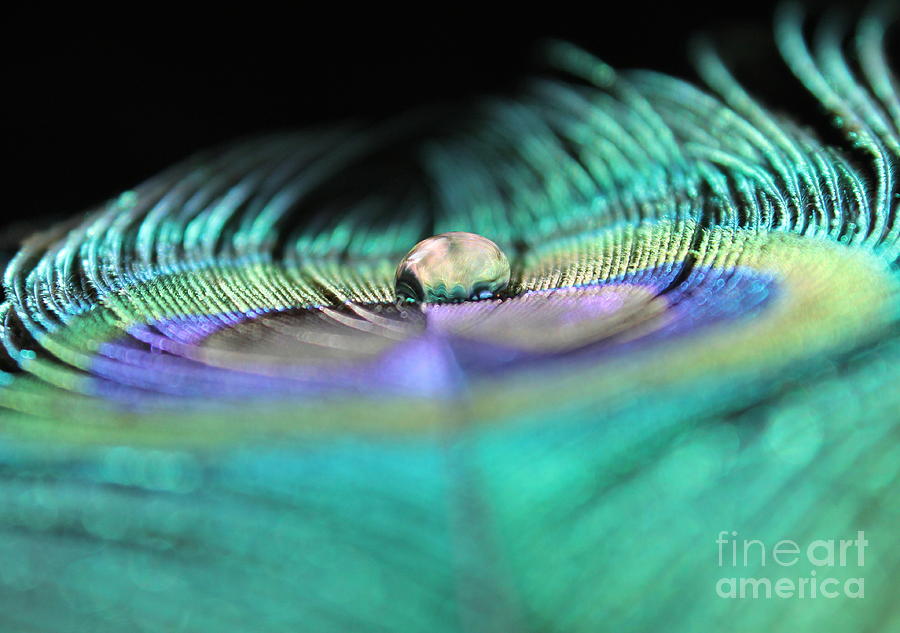 Peacock Photograph - Royalty Within by Krissy Katsimbras