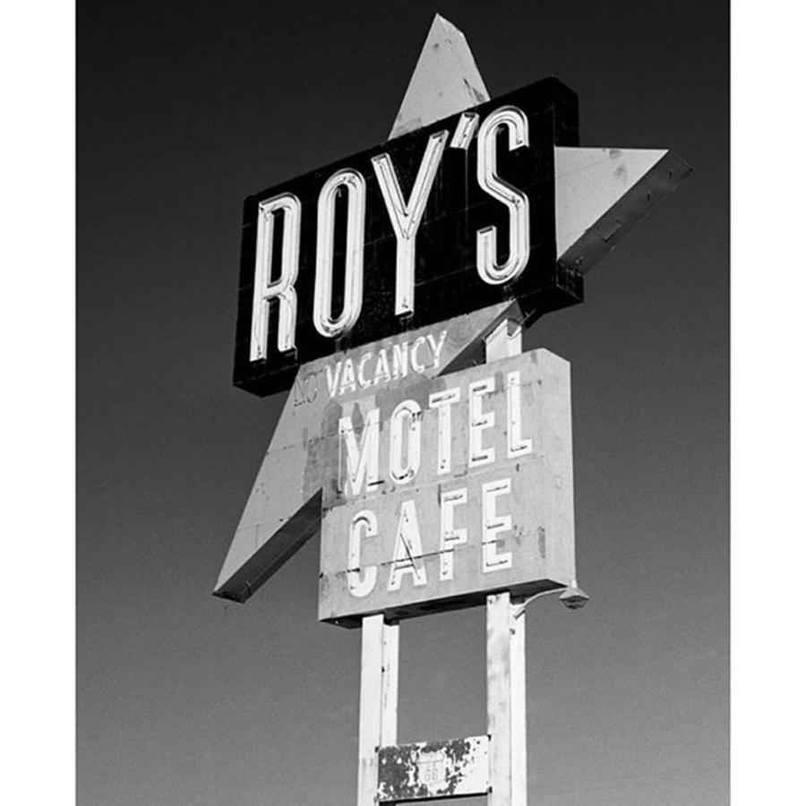 Desert Photograph - Roys Motel And Cafe Sign In Amboy by Alex Snay