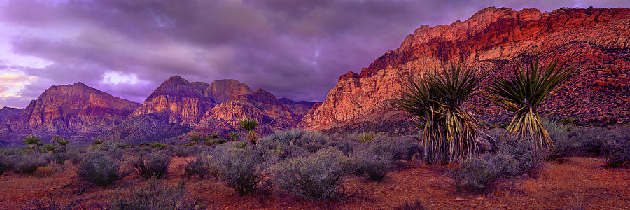 Las Vegas Photograph - Red Rock Canyon by Mikes Nature