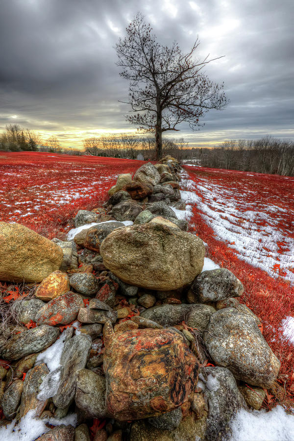 RTS Photograph by Jeff Cooper RTS Photograph by Jeff Cooper