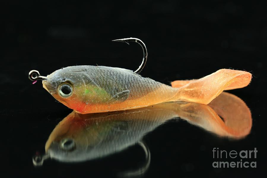 Rubber Fish Decoy Photograph by Douglas Sacha - Fine Art America