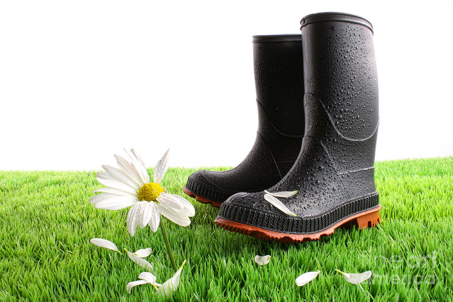 Abstract Photograph - Rubber boots with daisy in grass by Sandra Cunningham