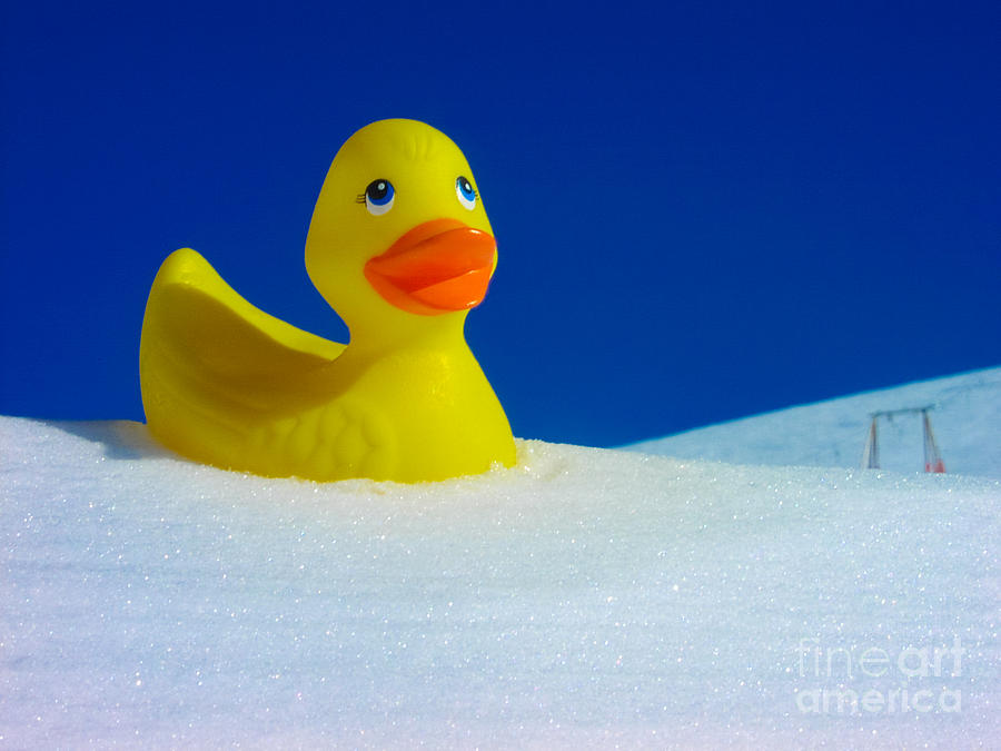 Rubber Duckie In Snow Photograph