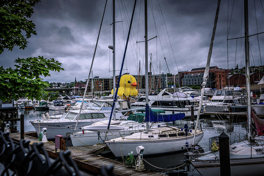 Boat Photograph - Rubber Ducky 3 by Jon Berghoff