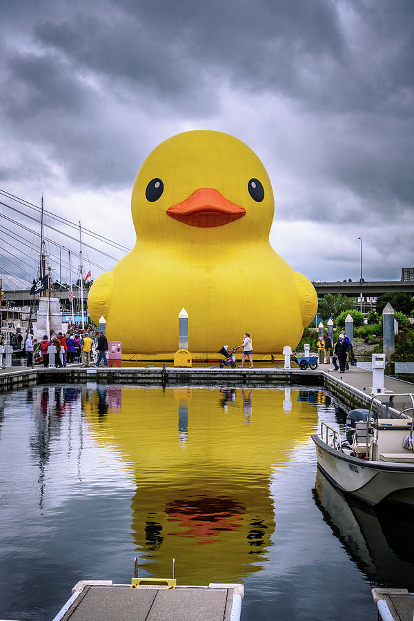 Boat Photograph - Rubber Ducky 5 by Jon Berghoff
