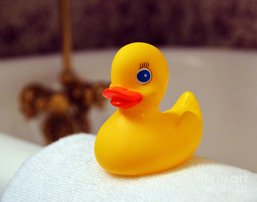 Rubber Ducky Photograph by Catherine Sherman