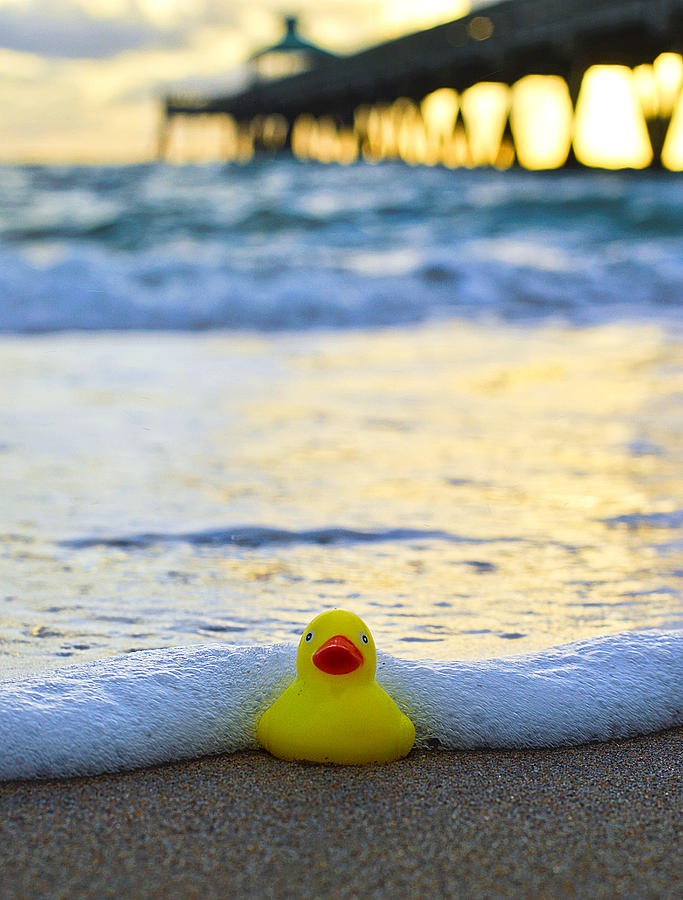 Beach Photograph - Rubber Ducky by Paul Cook