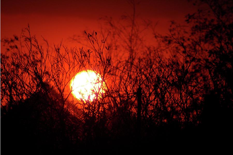 Sunset Photograph - Rubies in the Sky Sunset by Matt Quest