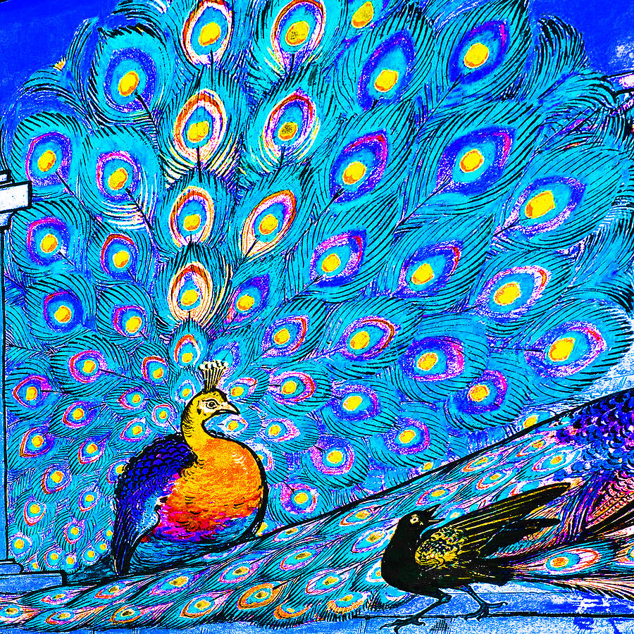 Blue Peacock                                 Painting by Tony Rubino