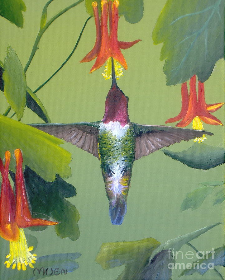 Hummingbird Painting - Ruby and Columbine by Michael Allen
