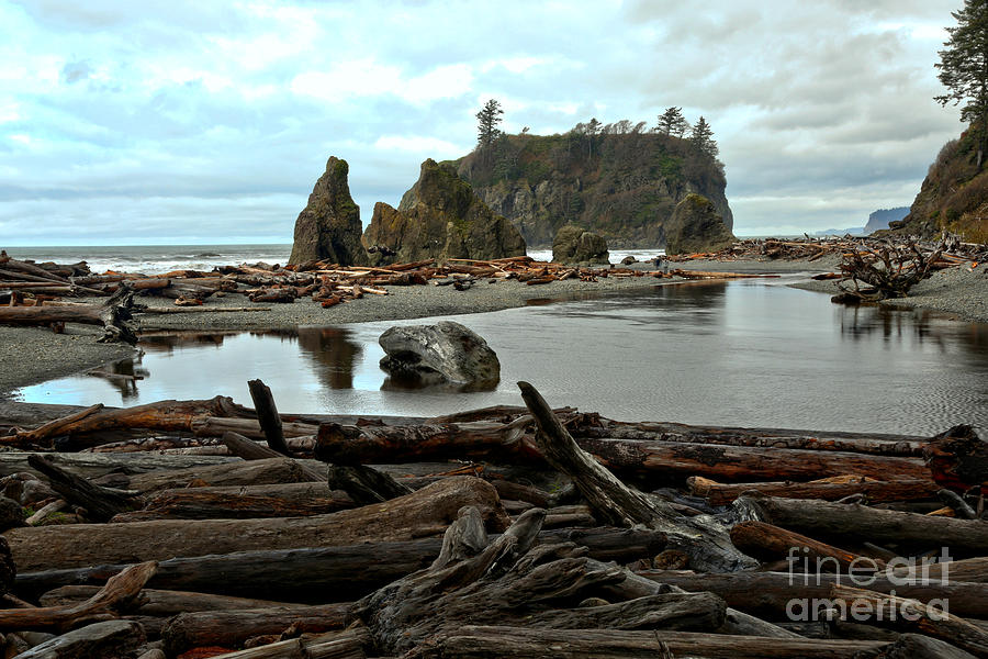 Olympic National Park Photograph - Ruby Beach Driftwood by Adam Jewell