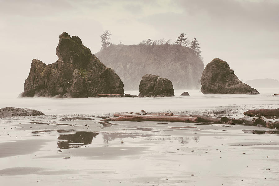 Ruby Beach No. 15 Photograph by Desmond Manny